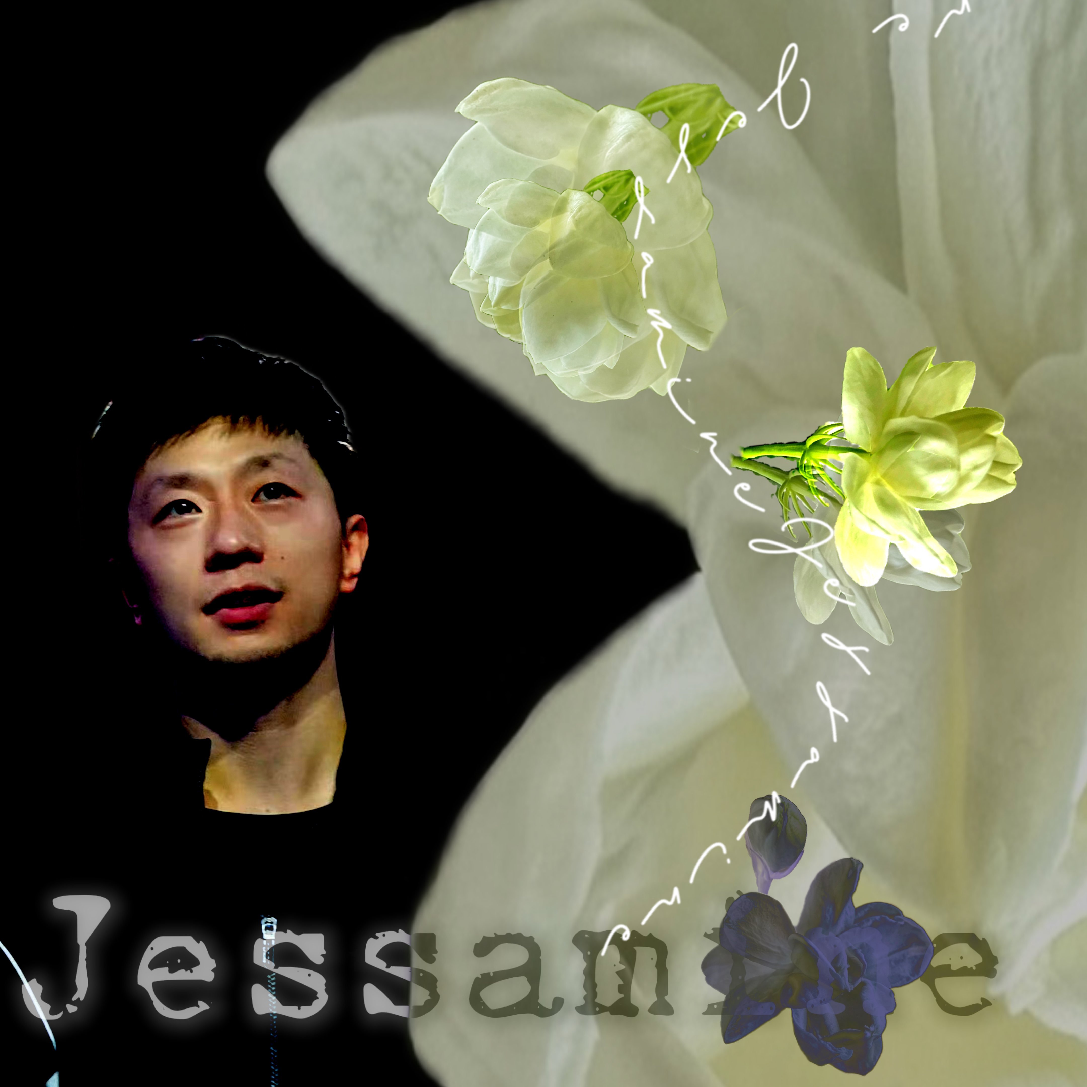 10010唯一纯白的茉莉花～盛开在琥珀色月牙～ 