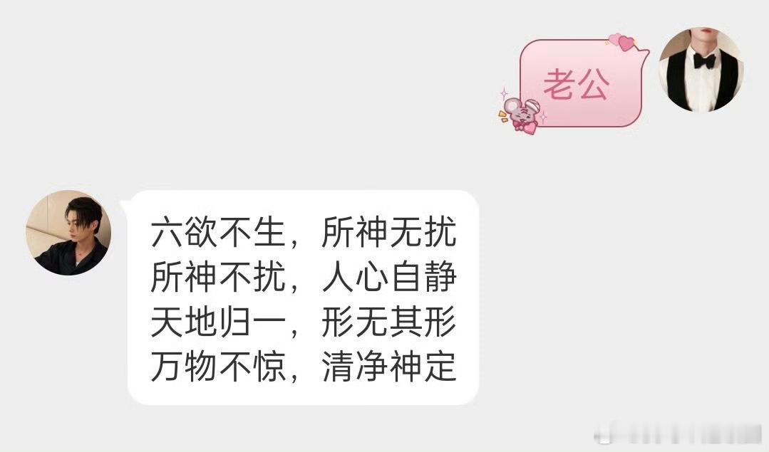 梅逐雨用清静经禁欲许凯的自动回复也太幽默了，居然是清静经！真的把梅逐雨清冷感这个