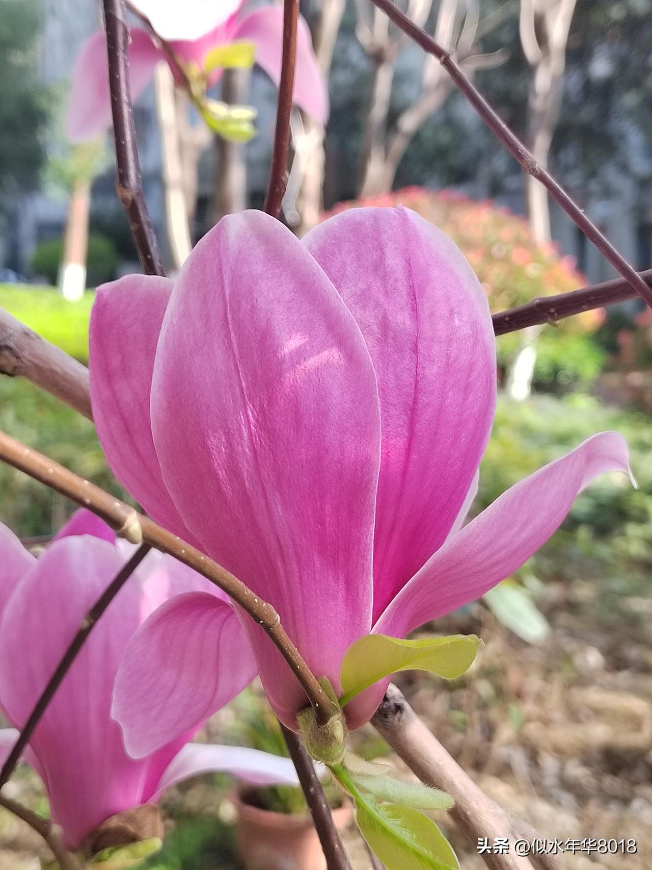 今天南京是多云转阴局部有小雨的天气，最高温度15℃，气温比前几天下降不少，阴雨相
