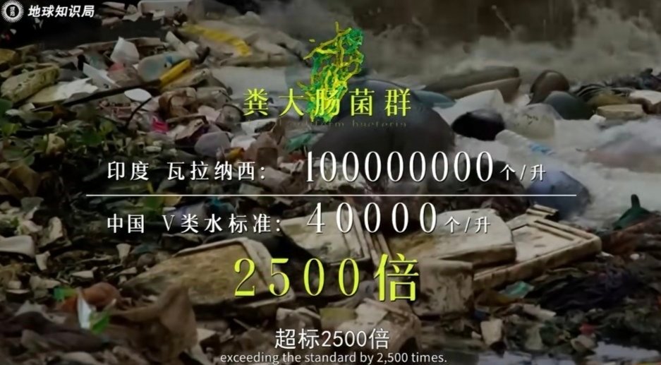 恒河粪大肠杆菌超标2500倍？视频说，恒河的瓦拉纳西河段达到了每升1亿个大肠杆菌