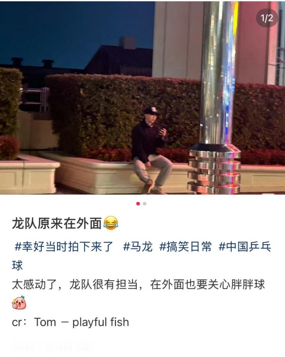 厕纸做成聋叔这样还有什么好说的 