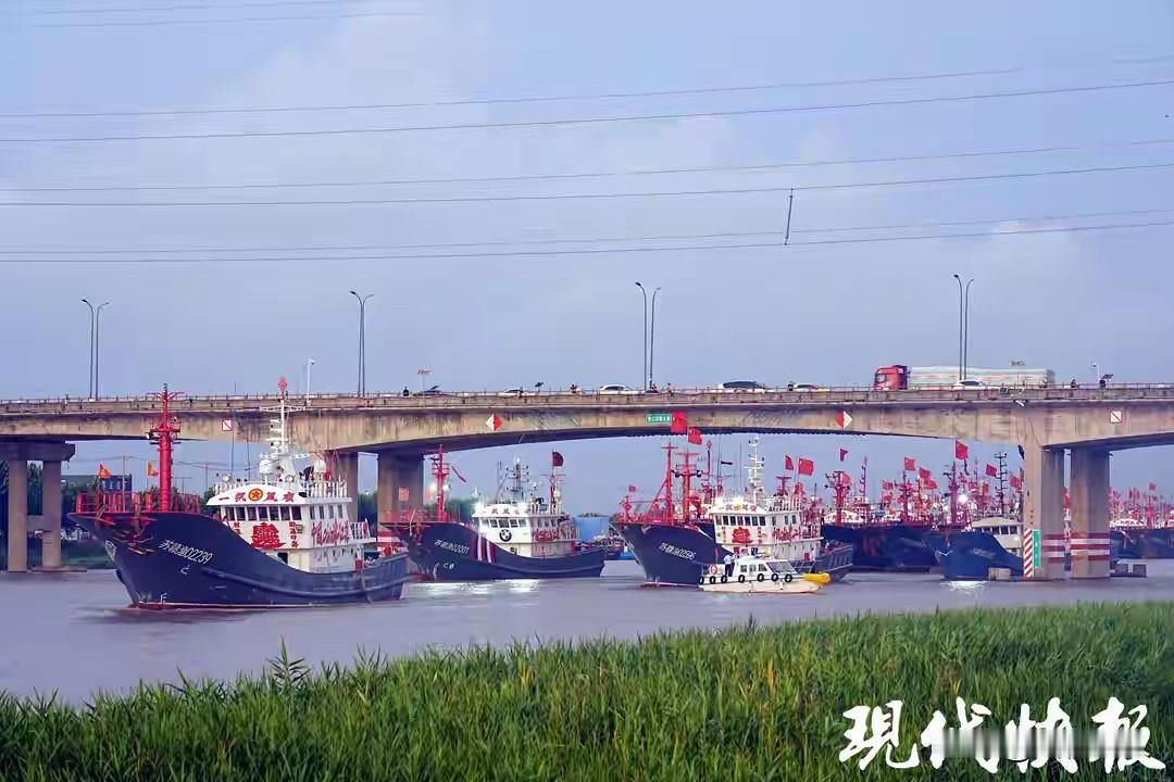 台风过后千帆竞发！连云港赣榆1400余艘渔船开捕迎黄海第一鲜
 
台风过境，风浪