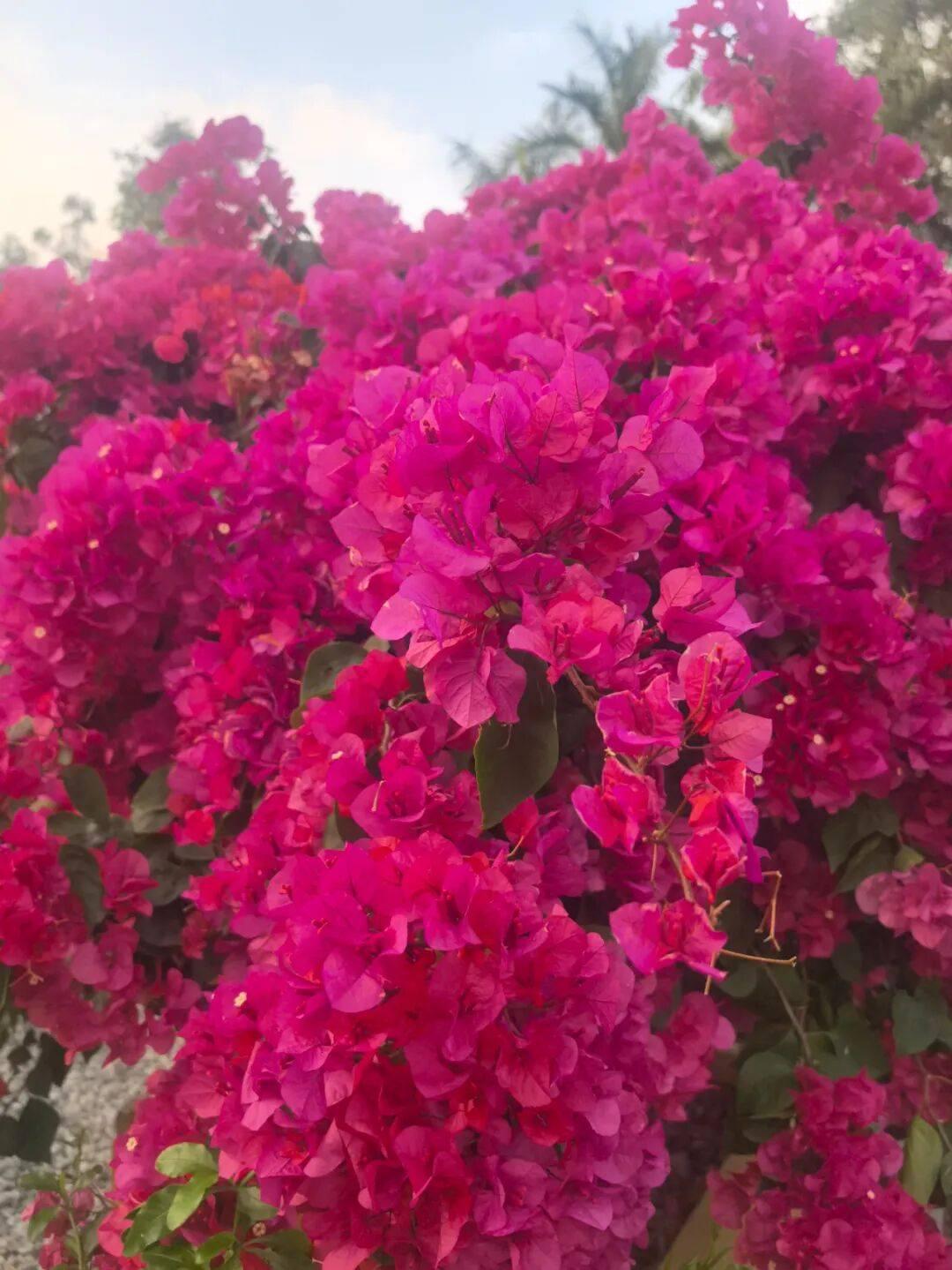 《七律·心头莫记江湖恨》
推窗不见当年月，
把酒空怀往昔情。 
明镜休愁今白发，