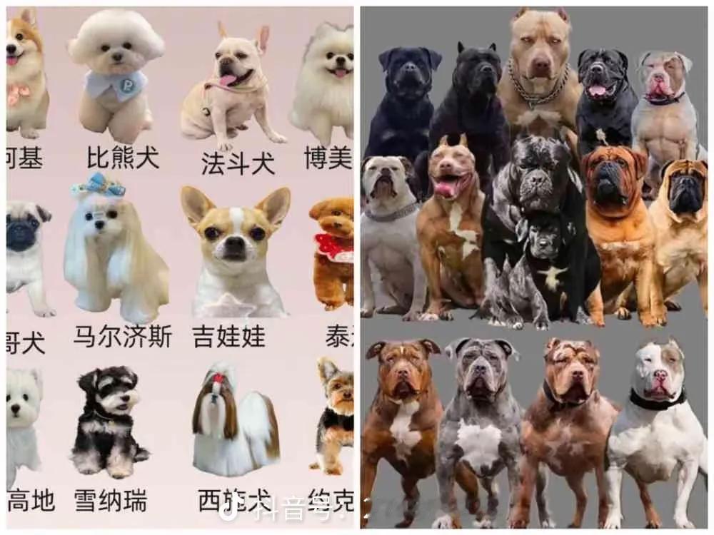 左边湖人勇士首发，右边火箭首发