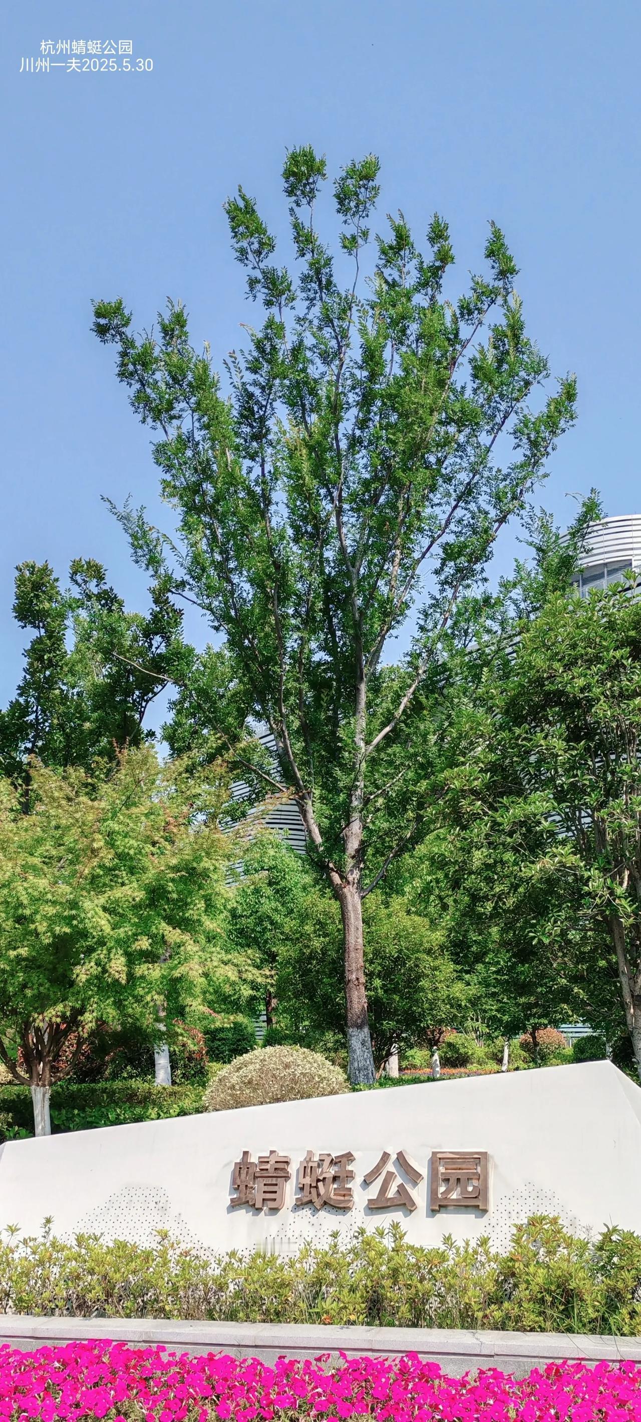 杭州蜻蜓公园是以未来感建筑和智能停车场为核心，集公共空间、屋顶花园、商业展示于一