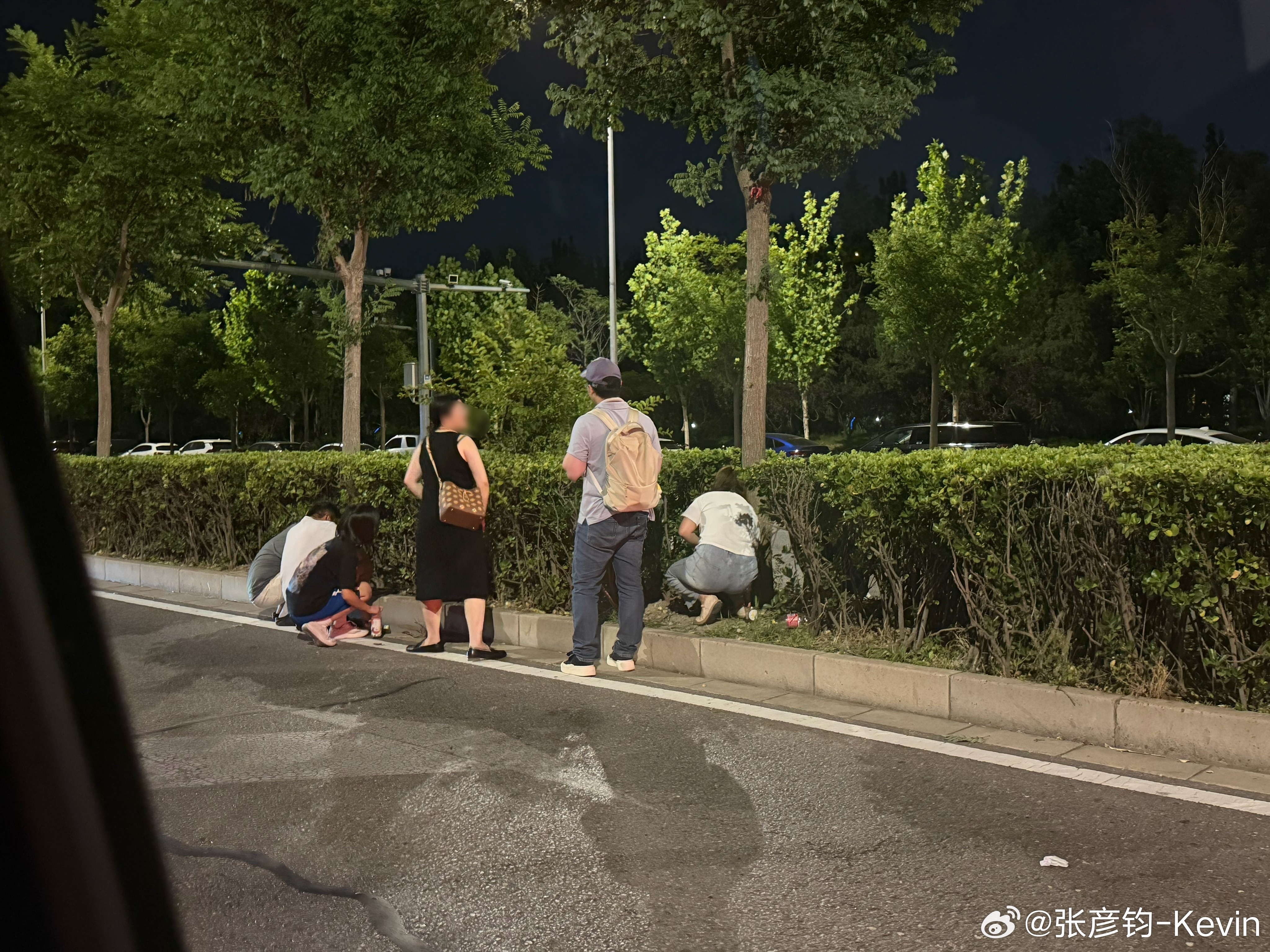 这是什么？挖野菜吗？？？ 凯文聊车