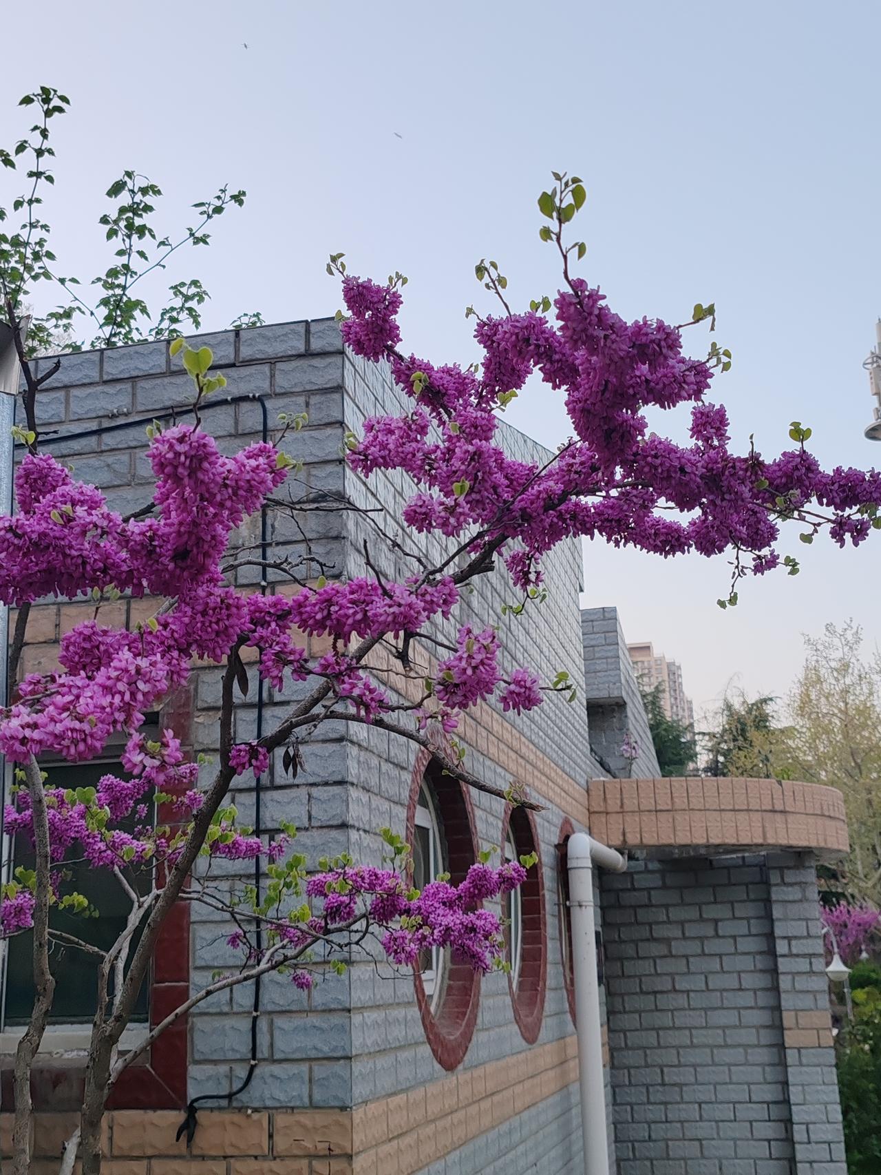 你这账算得有问题，本金没啥可说的，但利息算得不对。你的100万是逐年减少的，不能