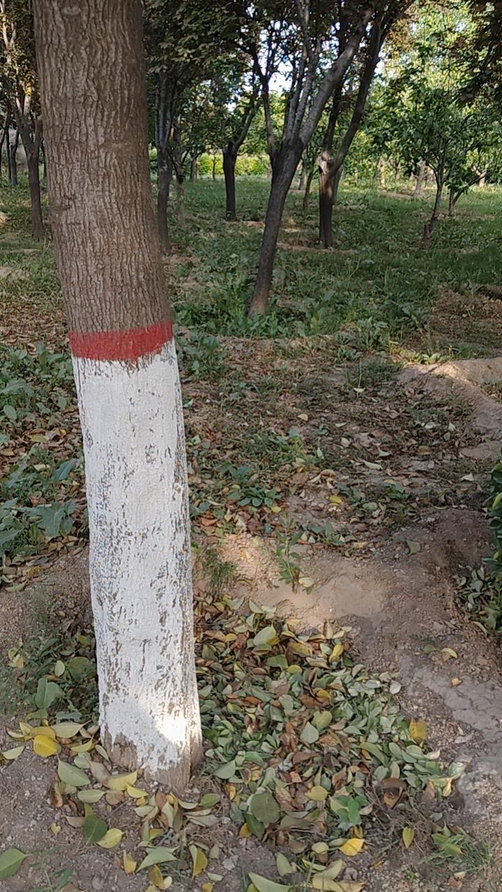 坚持锻炼！
争取今年瘦10~15斤。
人到中年，只能靠颜值了！才华来不及了。