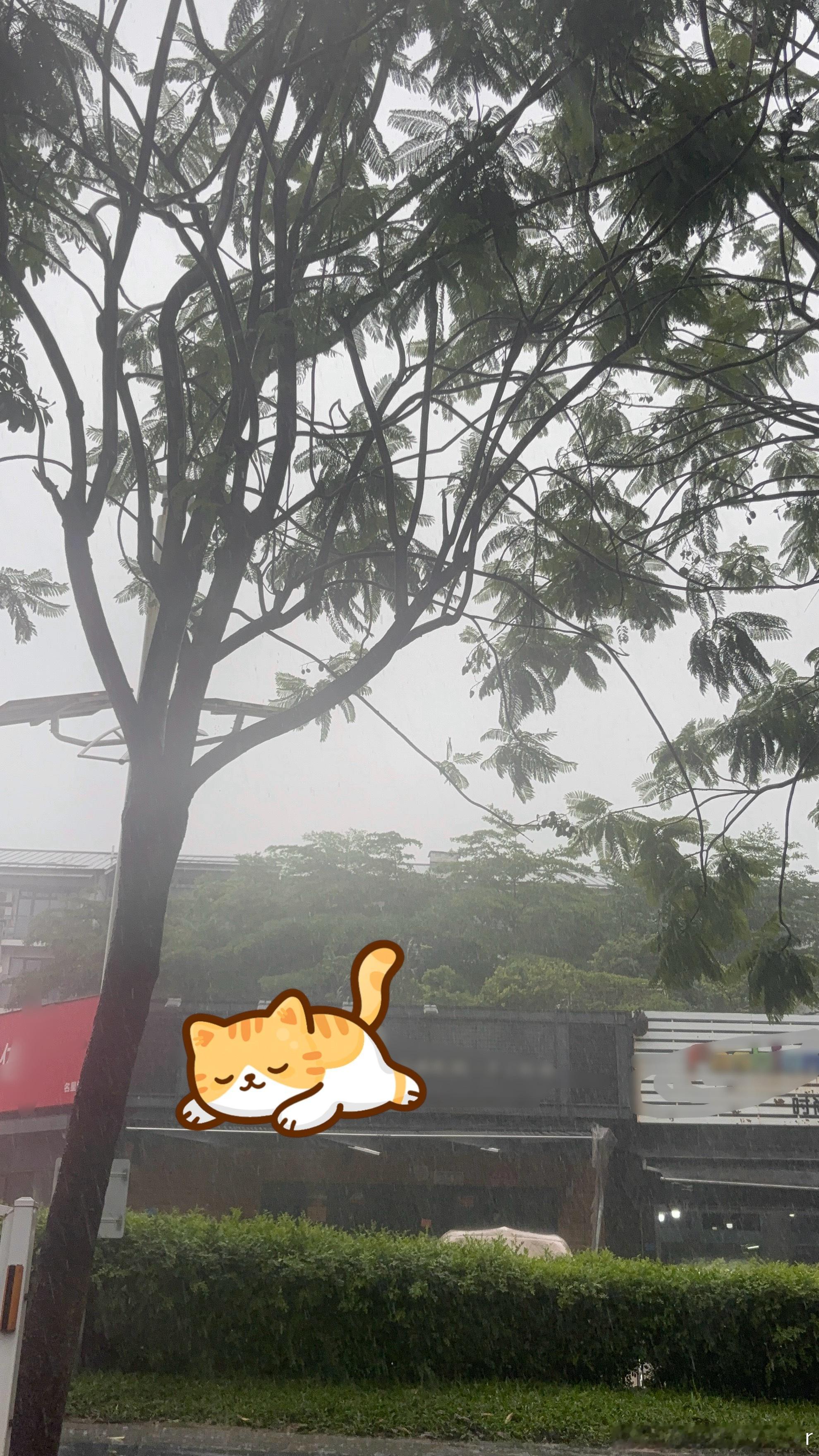 广东的雨到底还要下多久      最近接连下了好几天的雨了！      今天又是