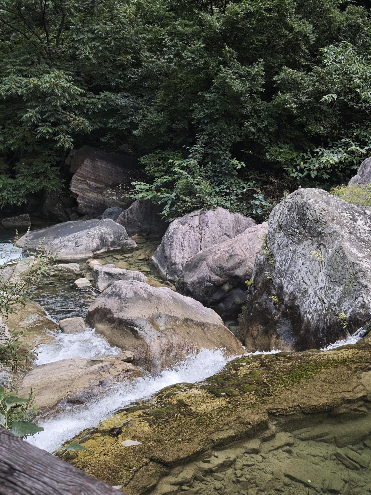 水清澈时，鱼藏于深处。
水浑浊时，鱼游在浅处。
气压升高，鱼向下沉。
气压降低，