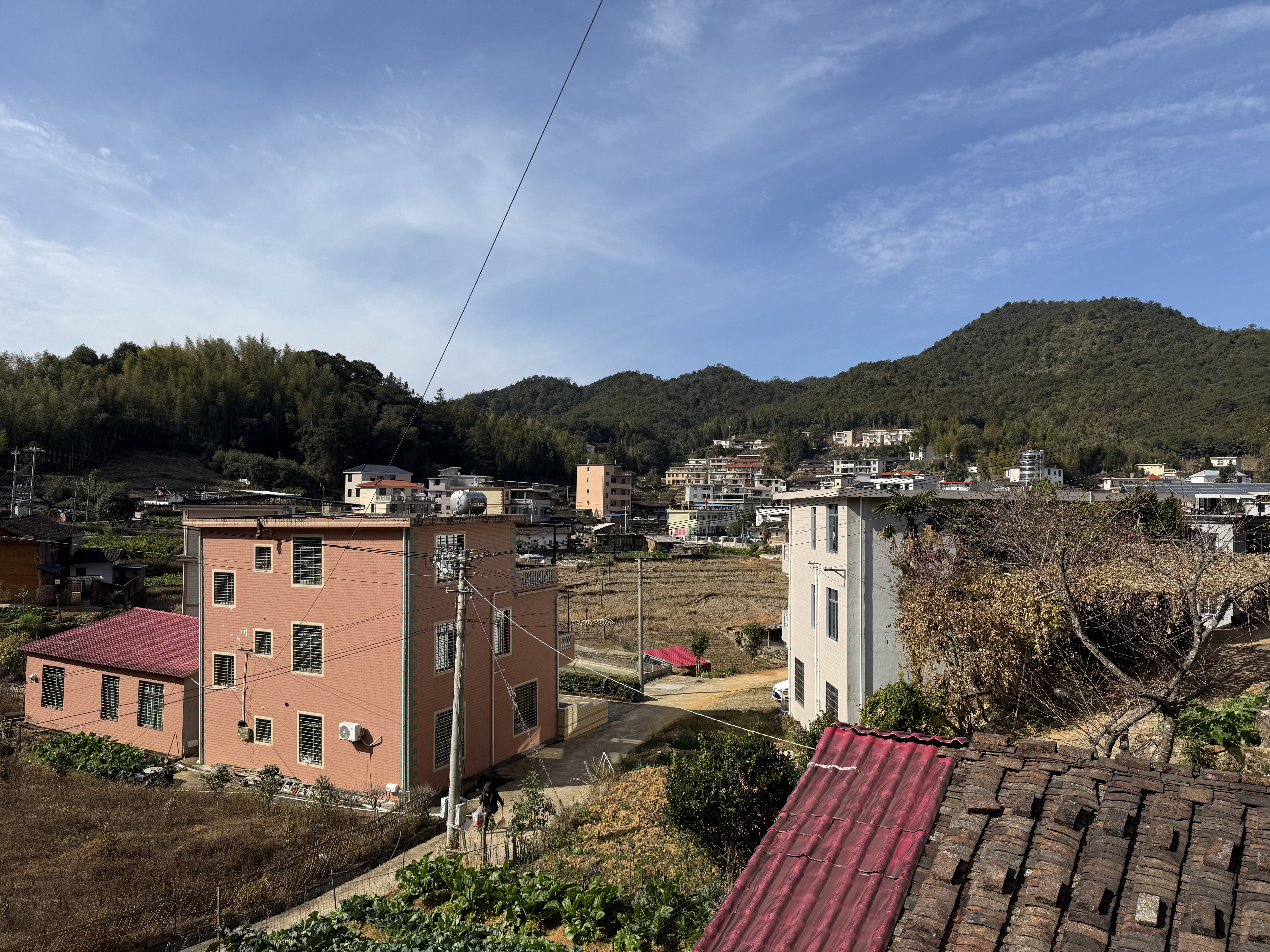 咱福建农村过年的天气真顶。[good]  