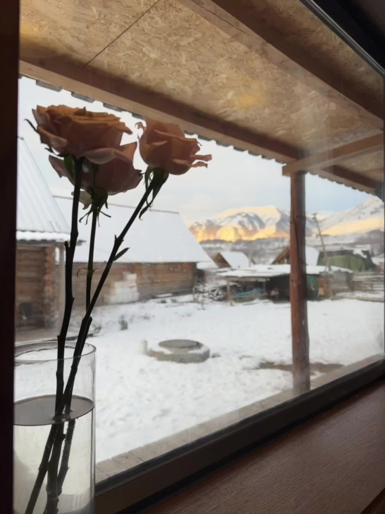 禾木村的氛围感让人太幸福了 我无意间看到你的模样，但是从此再也没能走出...