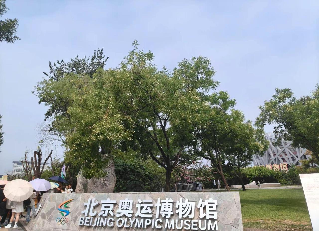 每一次经历都是成长 北京奥运会场馆鸟巢 今日鸟巢参赛之演说中国国赛