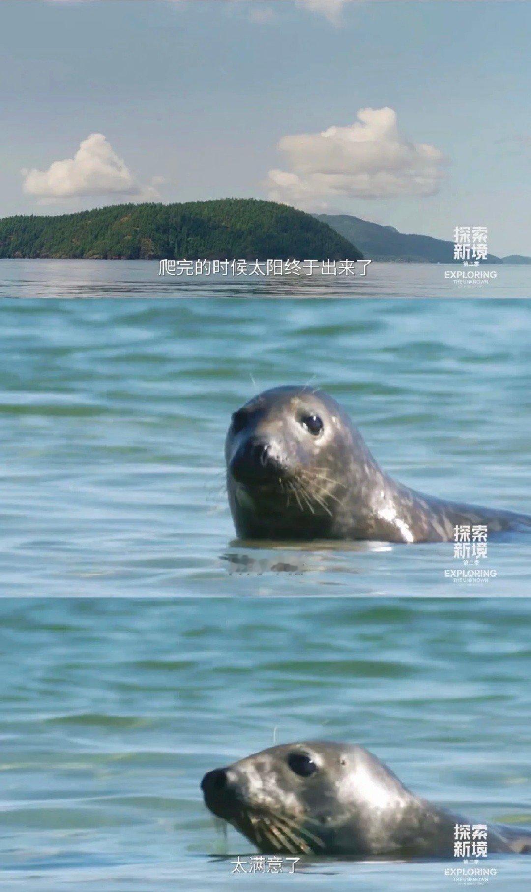 整个生物圈都在打卡王一博探索新境 当王一博登顶后阳光穿透乌云，海豹浮出水面，座头