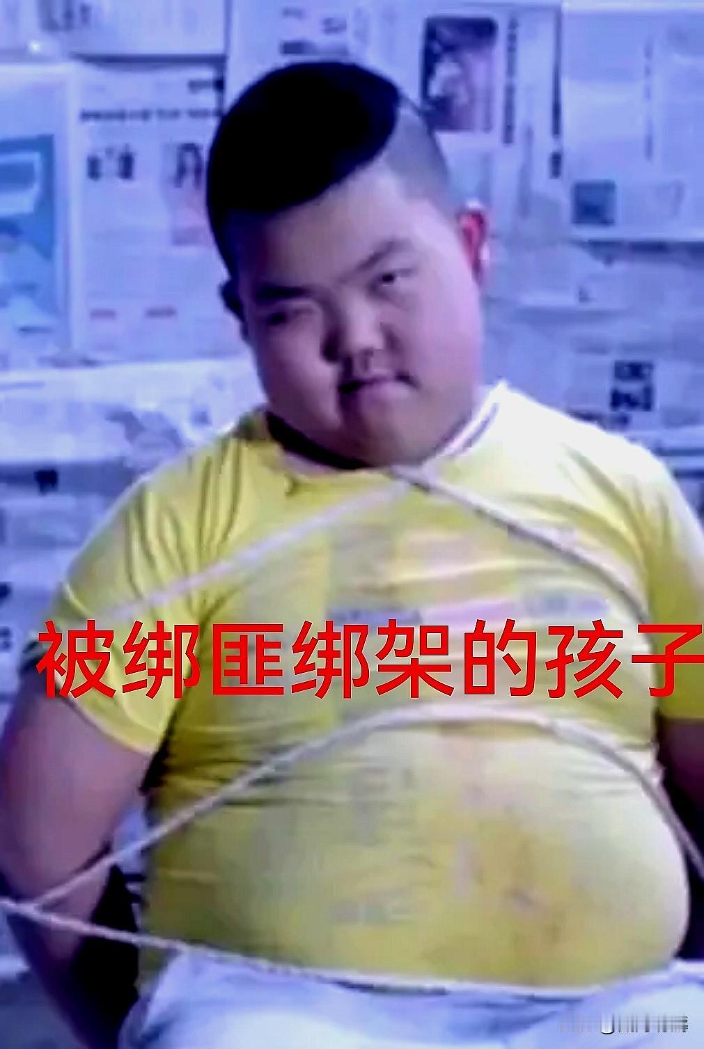 被绑架的孩子何时回家 
——和平统一的道路有多远？
 
       若把台湾视