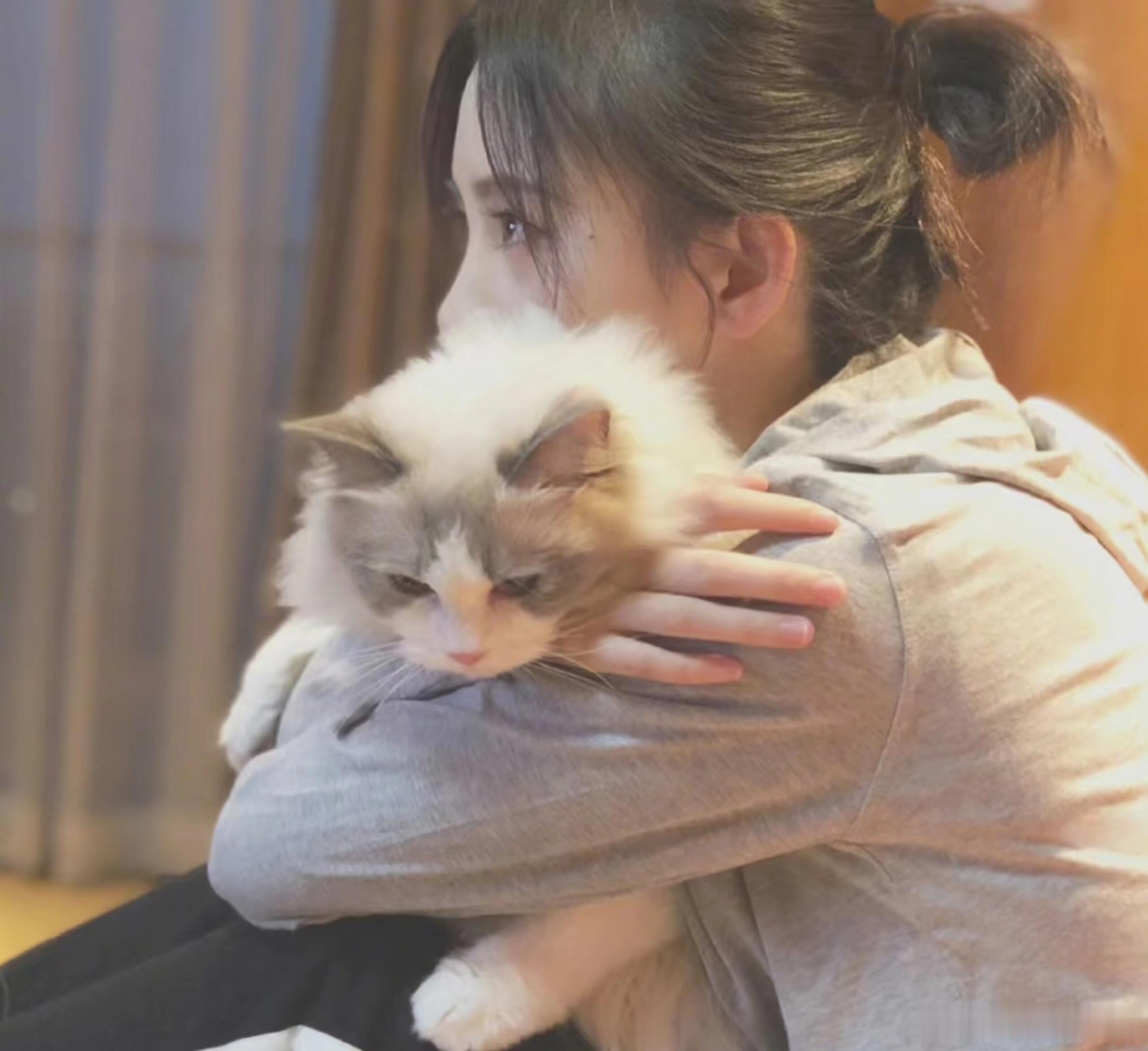 鞠婧祎鞠婧祎的猫也有番位 很多艺人的宠物只是偶尔露面，鞠婧祎却坚持记录猫咪成长，
