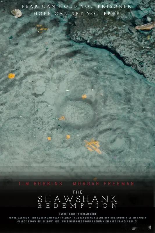 给大家介绍一部超赞的影视作品——《肖申克的救赎》。这部电影讲述了银行家安迪因被误
