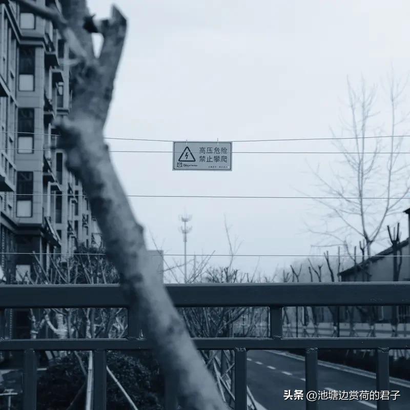 人在低谷拼的是什么? 人在低谷拼的是什么？可不是力气，而是那根不崩断的心弦。拼的