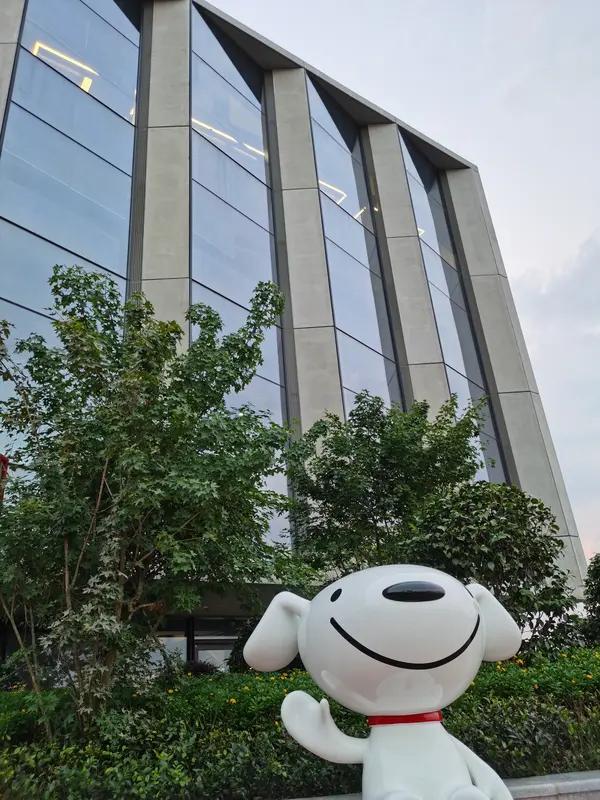 实在是没想到，京东竟然是中国在《财富》世界500强里排名最靠前的民营企业。

2