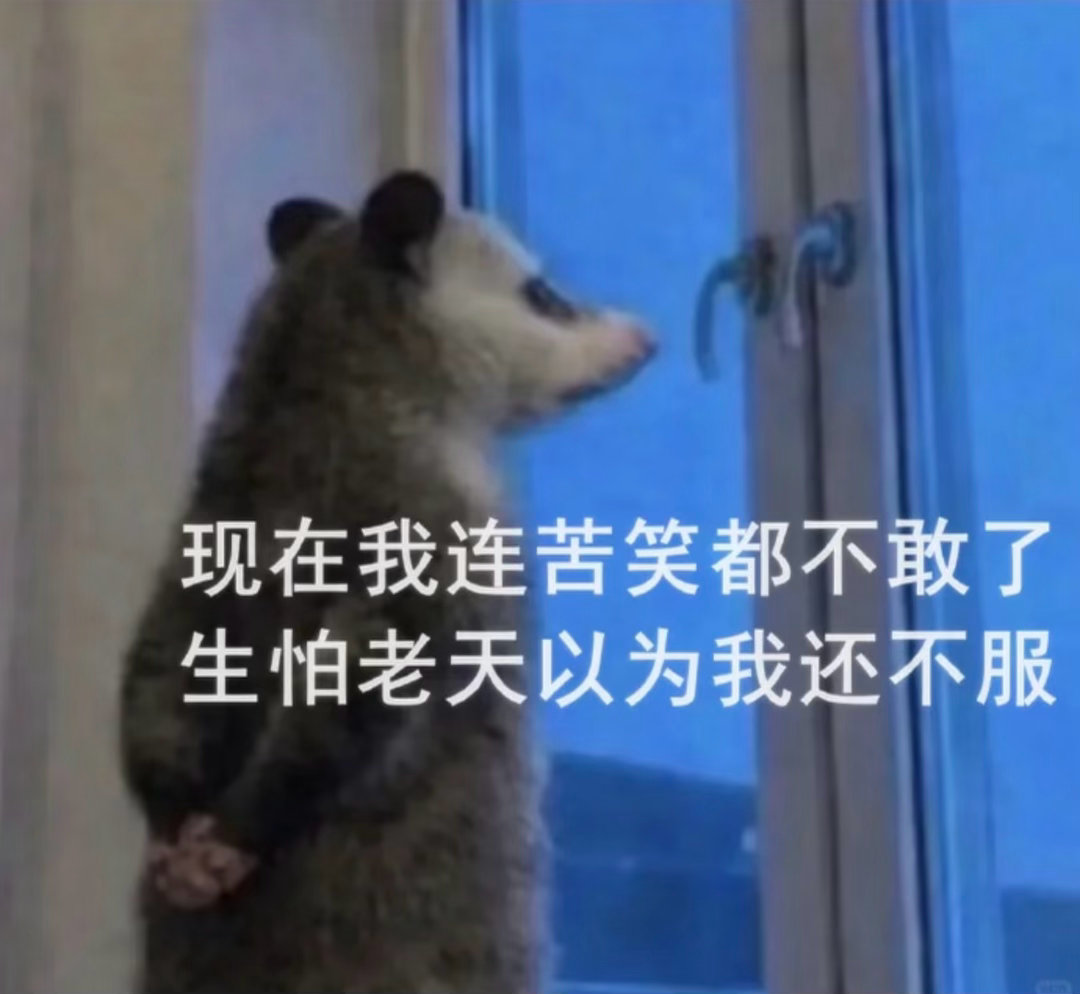 昨天看 今天看 就一会没看 怎么就1010了