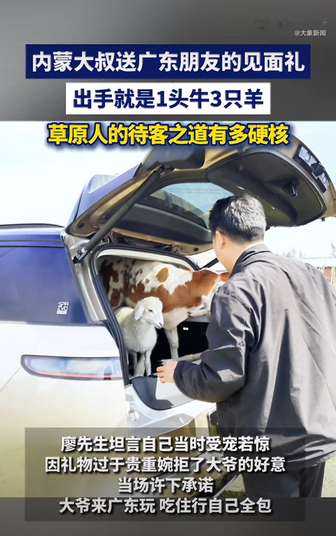内蒙大叔见面礼出手就是1头牛3只羊2026年7月19日，内蒙古赤峰贡格尔草原一位