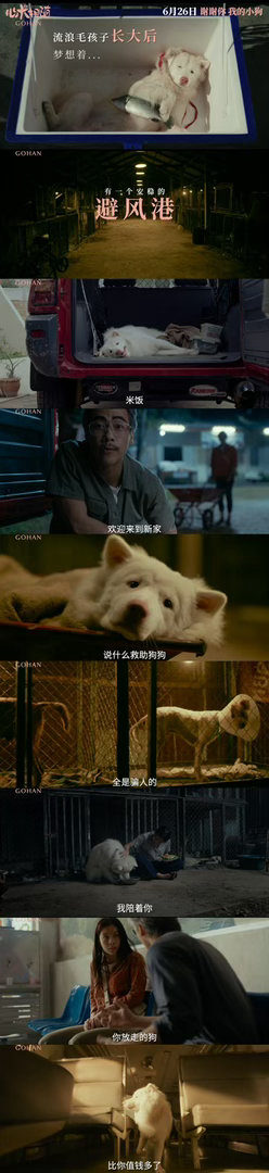 姥姥的外孙团队新作心犬相随定档 狗狗电影爱好者狂喜。《姥姥的外孙》金牌团队新作，