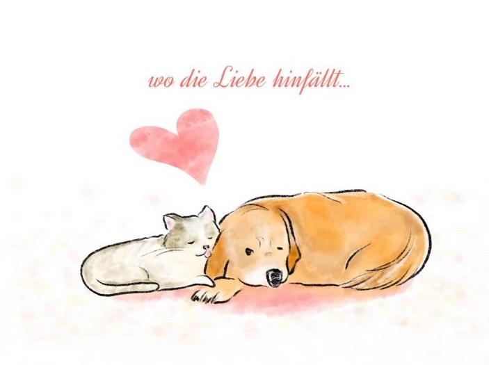 当一个人坠入爱河，或者遇到猝不及防的爱时，德国人会说这是Wo die Liebe