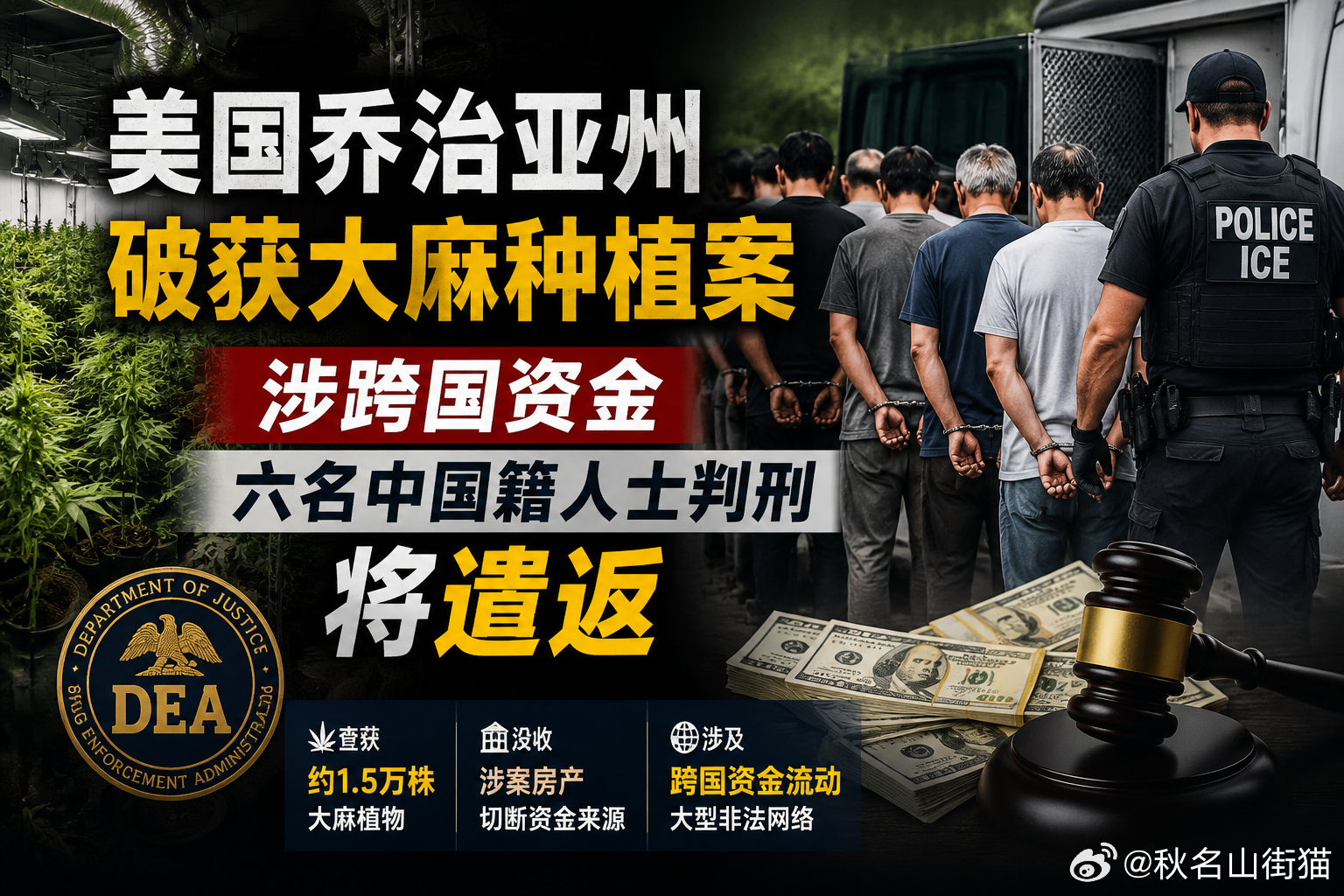美国乔治亚州破获大型室内大麻种植案，6名中国籍人员获刑后将被遣返海外新鲜事创作活