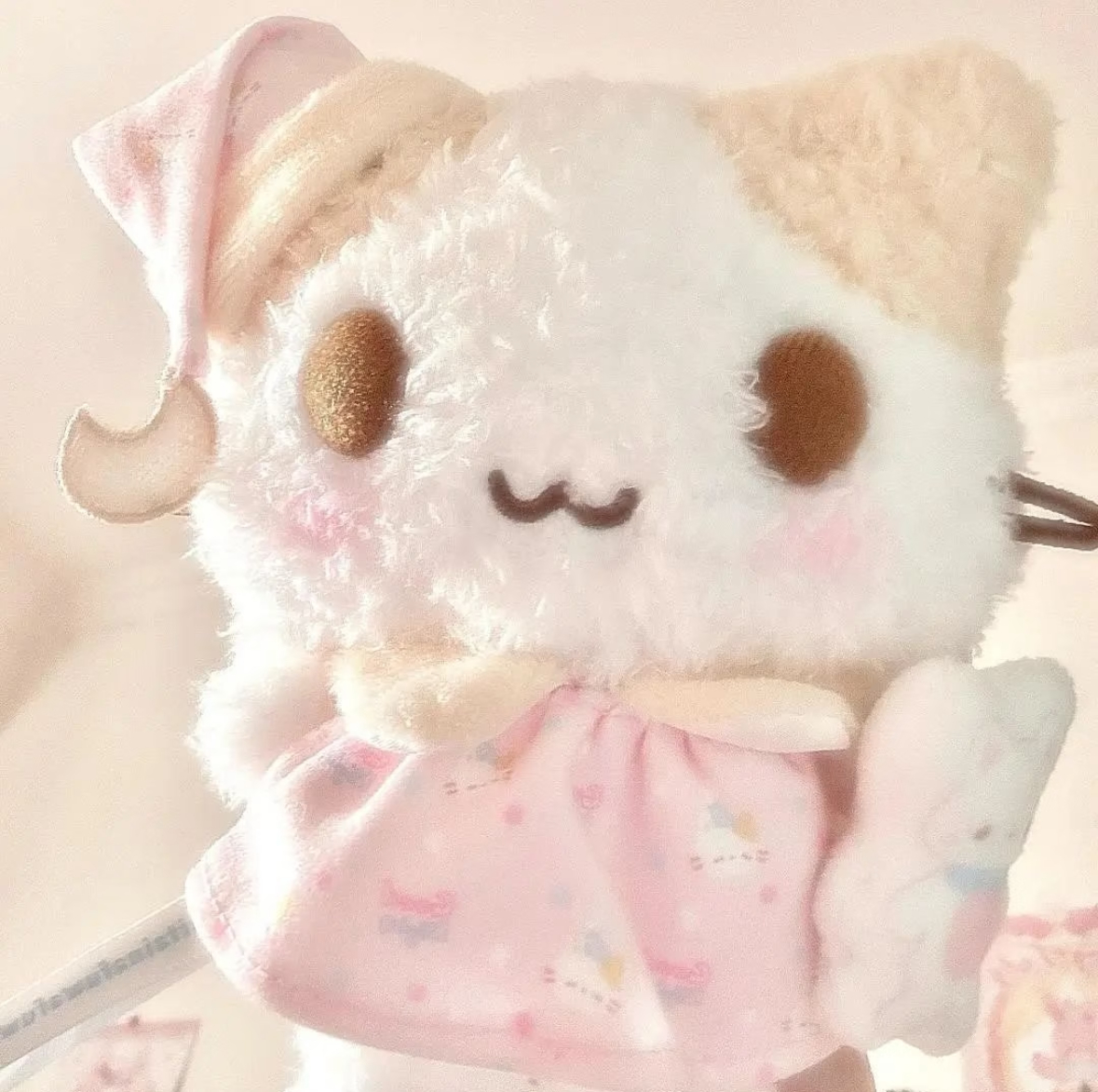 ꉂ  • ༚ • ིྀต੭ ​​​