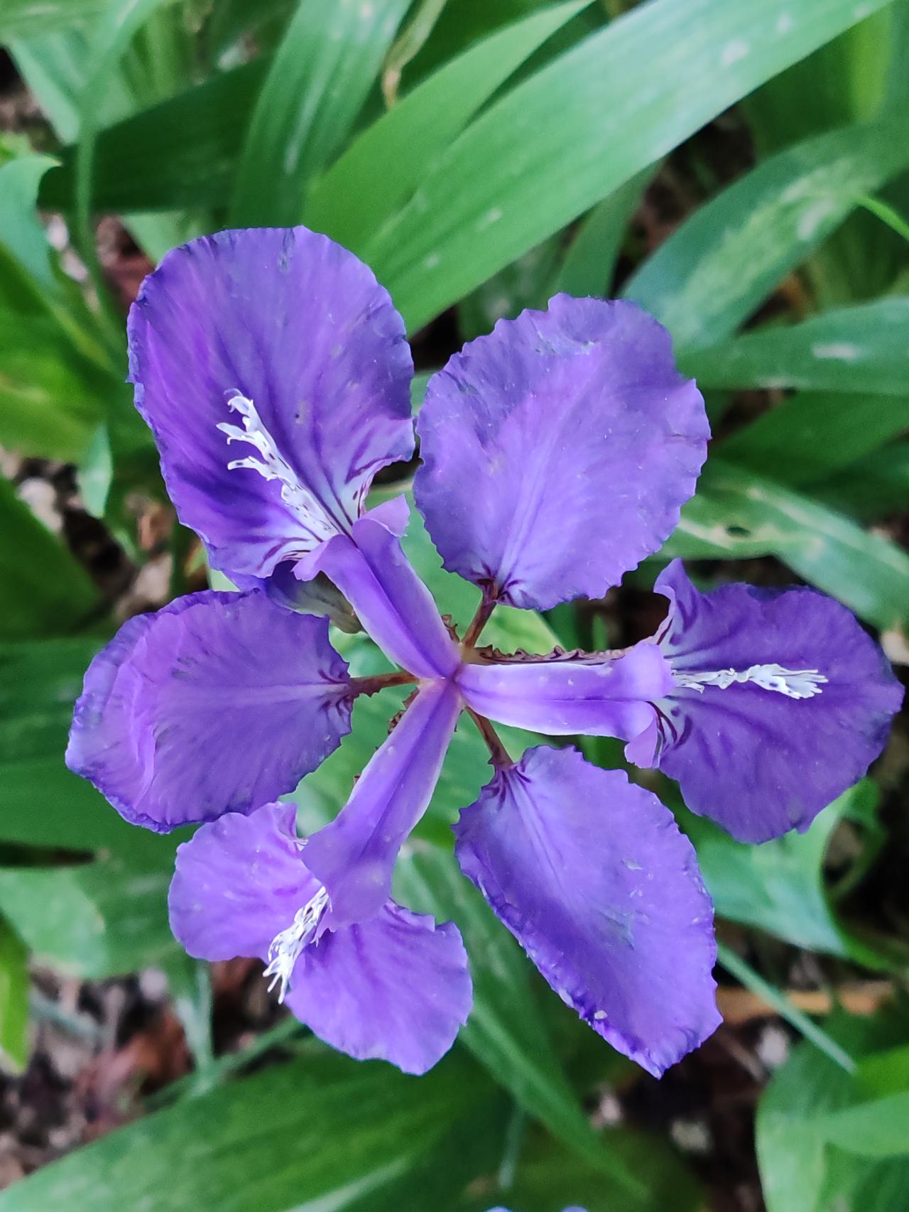 健康来自自律的日常生活而不是保健药的维护。自律的日常生活就像一座坚固的堡垒，为健