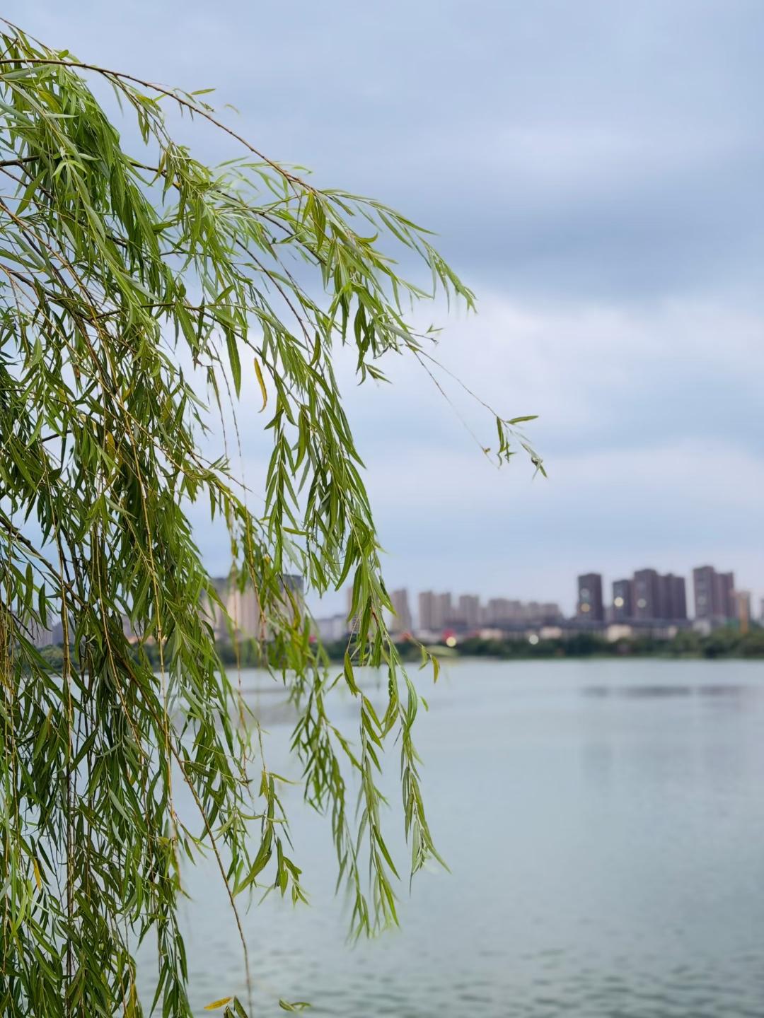 认知人一生决定财富，决定命运。
《天道》中的认知层次五个层次，你处于哪个级别？
