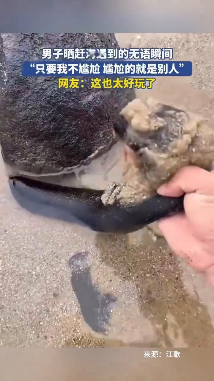 男子晒赶海遇到的无语瞬间："只要我不尴尬，尴尬的就是别人"。网友：这也太好玩了。