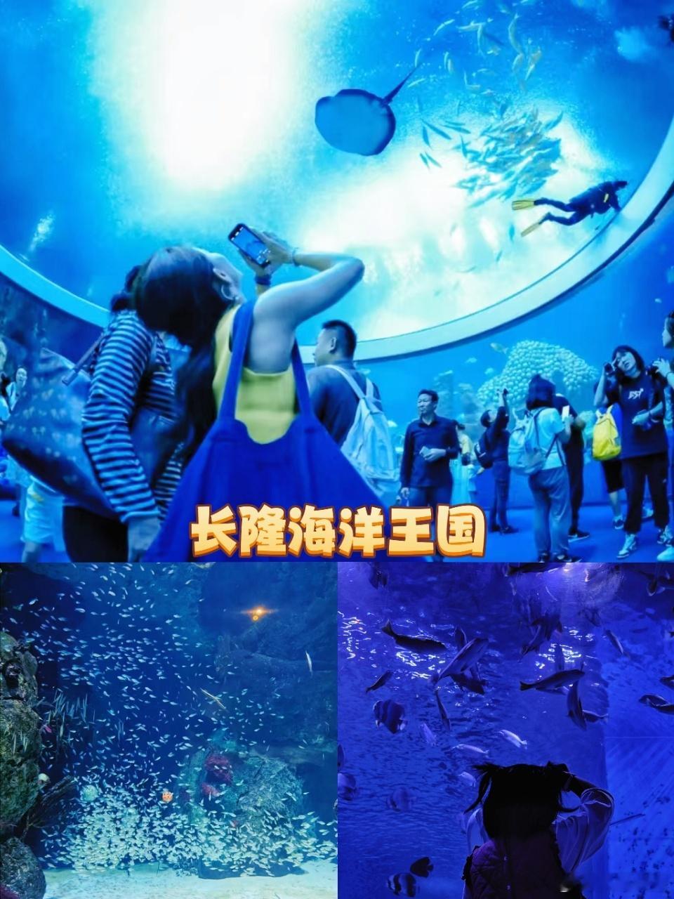 遛娃好去处｜珠海2️⃣天1️⃣晚游玩路线🎆趁着春节假期，带娃来一趟说走就走的珠