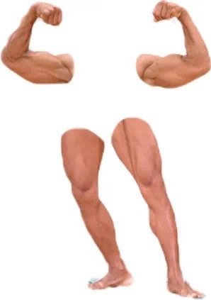 四肢P图素材 ​​​