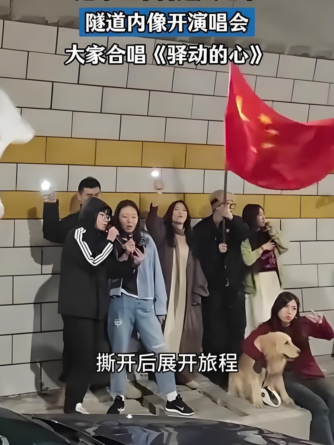 这是2026年春运最火的堵车大合唱，发生在广东境内的高速隧道里，一位音乐老师带头