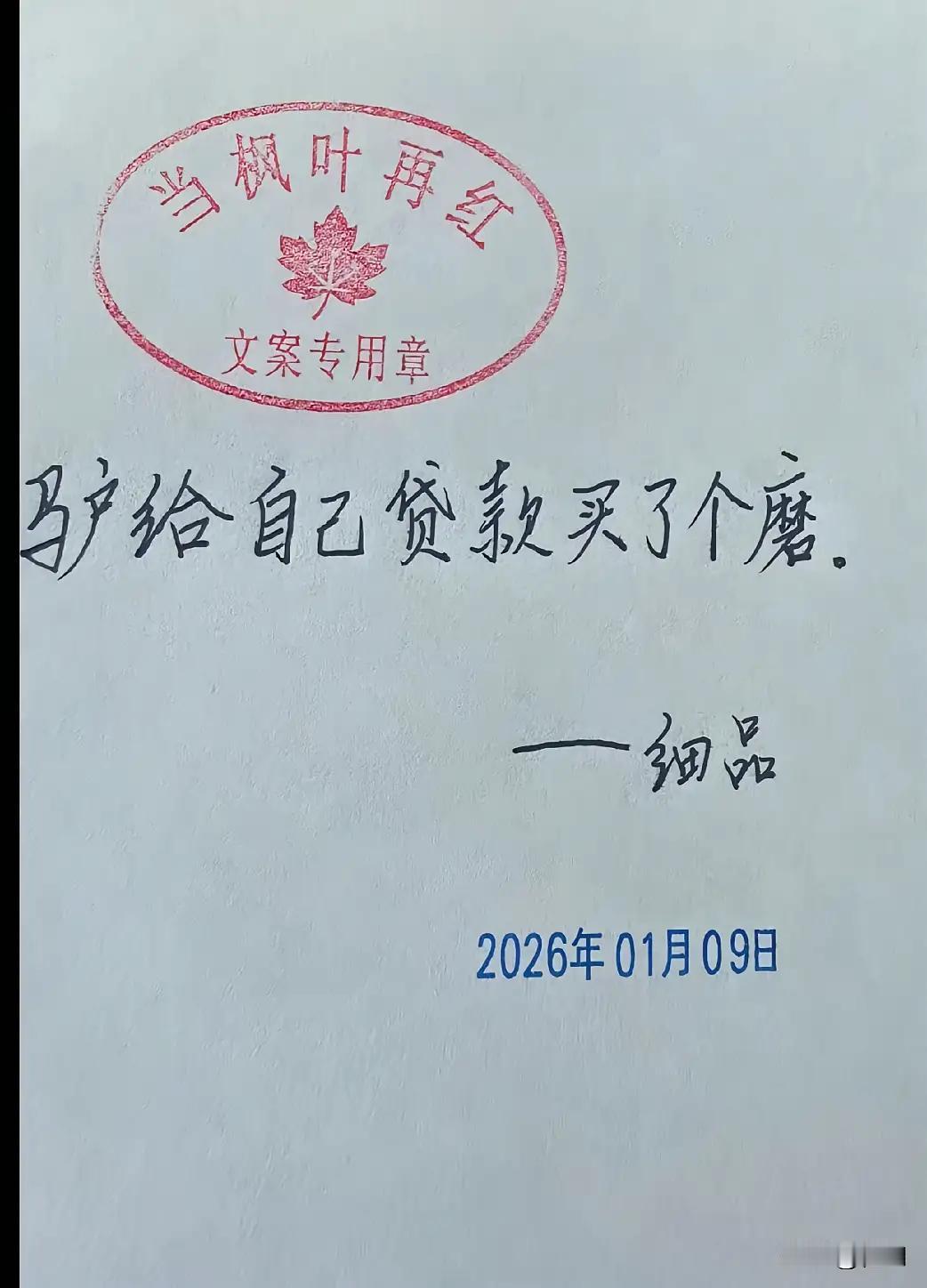 这句话很有意思！“驴贷款给自己买了个磨”！意思是驴自己给自己套上了？

有网友说