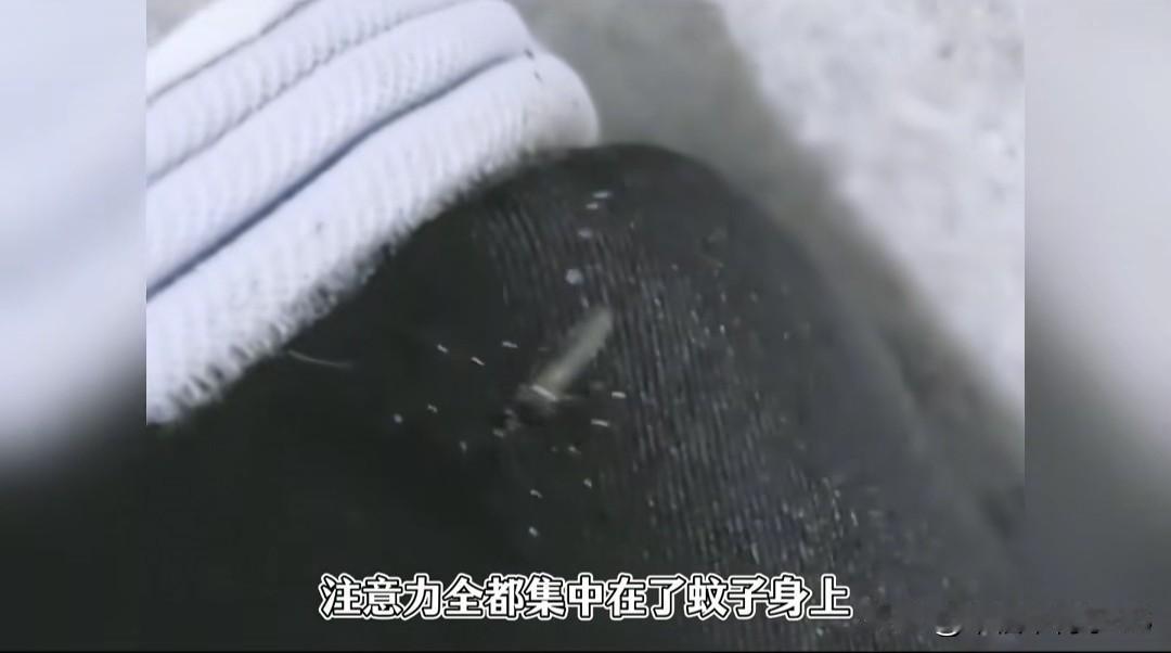宁波殡葬王把“棺中王”打了一顿还让对方不敢吭声，看完我CPU都烧了！
 
刷到个