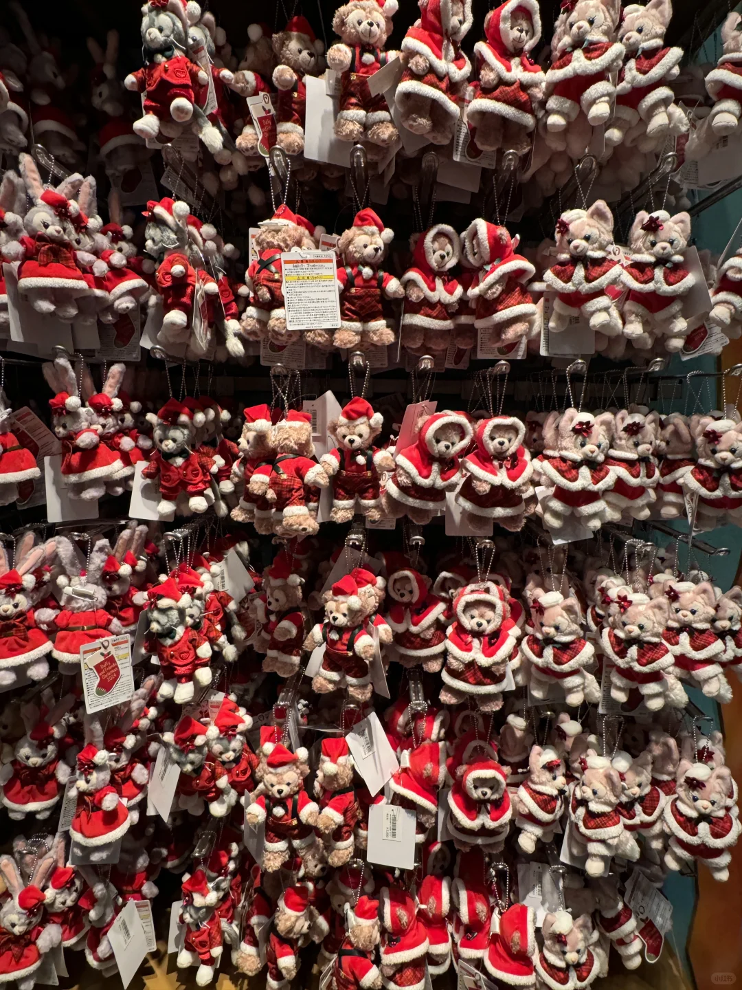 🇯🇵我看东迪的货还挺多的啊……