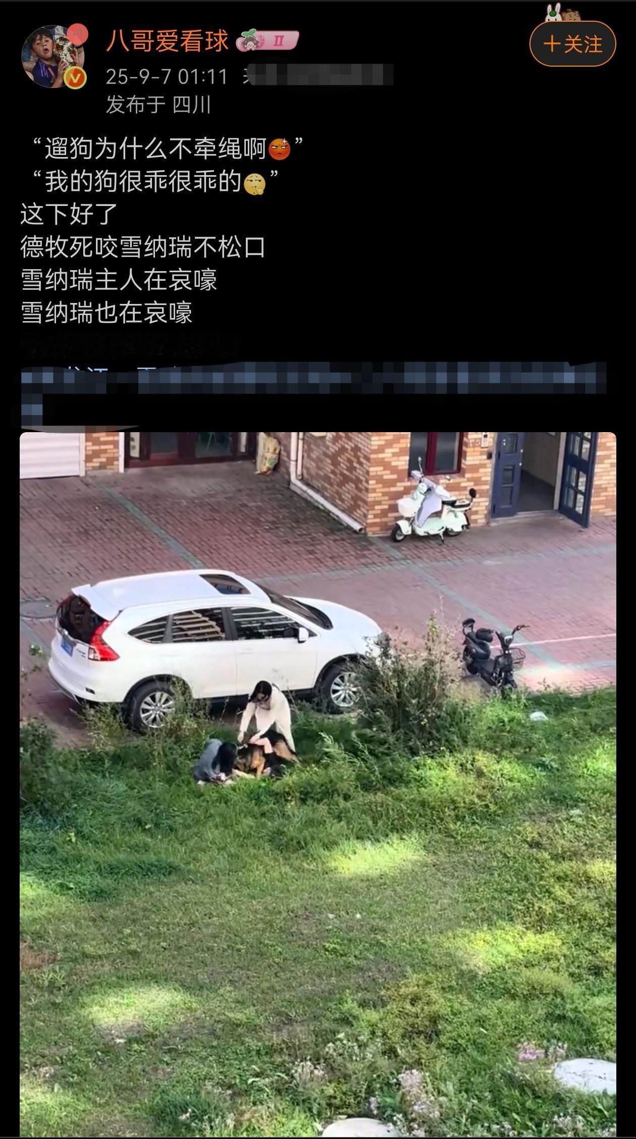 养狗的几乎一个德行：我的狗很怪的，从不咬人！