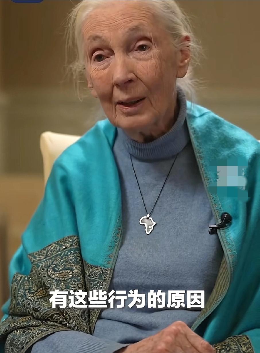她91岁安然辞世！
一直未停下工作。
珍．古道尔，纯粹的动物学家。
91岁自然去