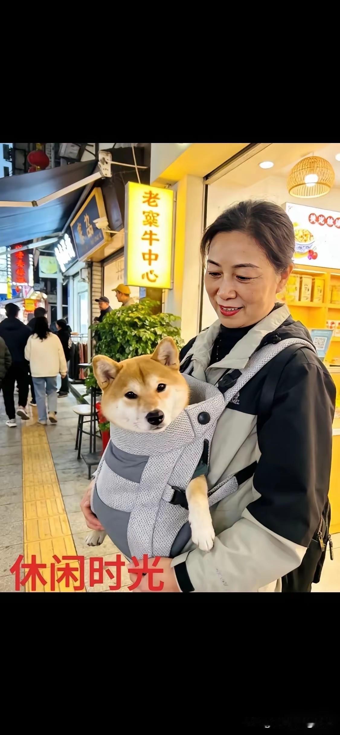 这个小狗也太幸福了吧！
在热闹的街市上，一个大姐把一只小狗背在前面，这位大妈脸上