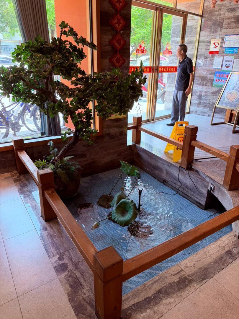 生活手记记录真实生活摄影摄影摄影 湖景盛宴，藏一席人间风雅踏步入湖景盛宴，一抬眼