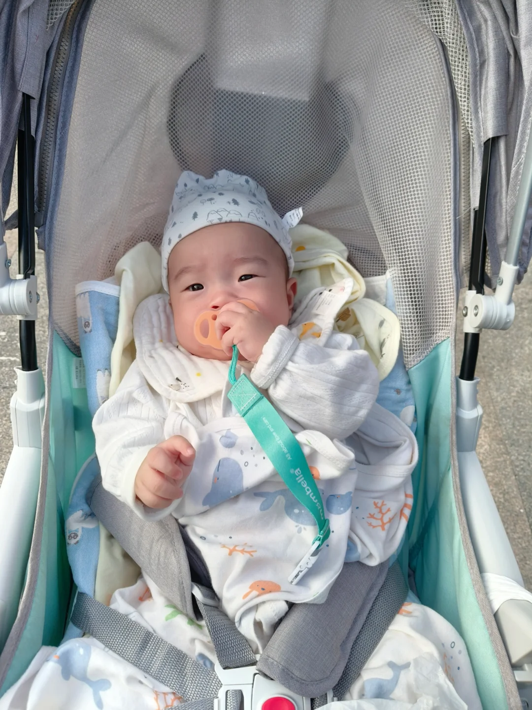 天蓝蓝，遛娃走起