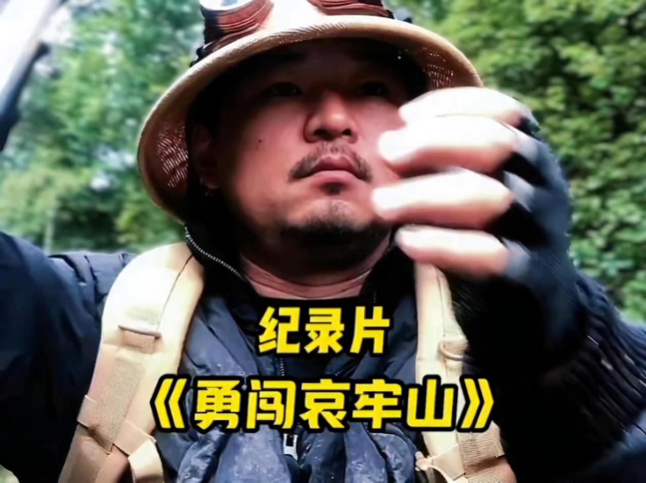 哀牢山大揭秘！摄像机16个小时不间断拍摄，里面原来有这么多“居民”？
网红博主们