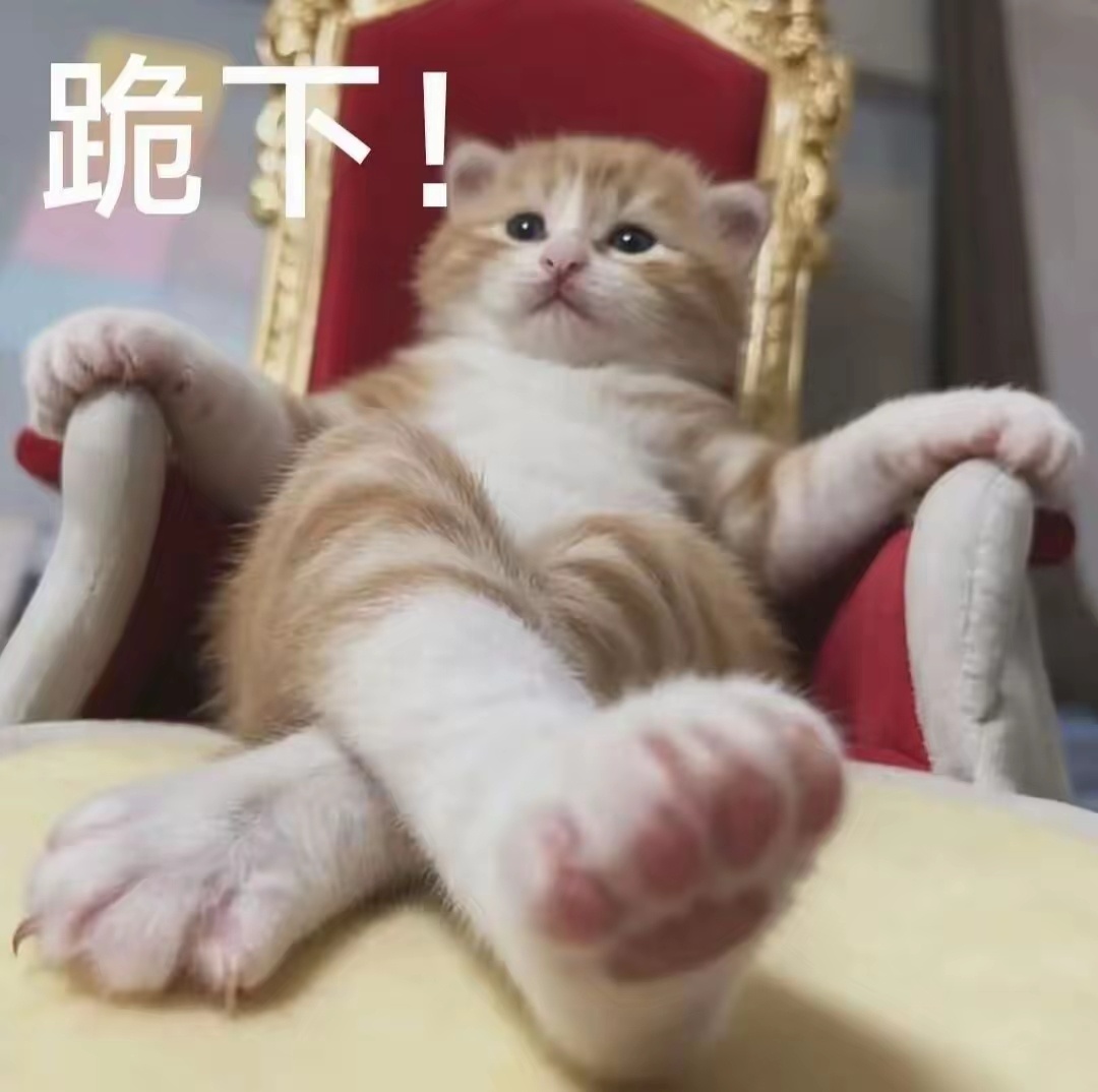 弄了个电脑桌垫，视线拔得有点太高了🤣 ​​​