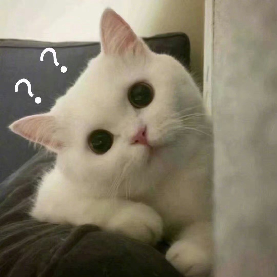 ？+猫猫问号表情包，拿图喵喵[爱你] ​​​