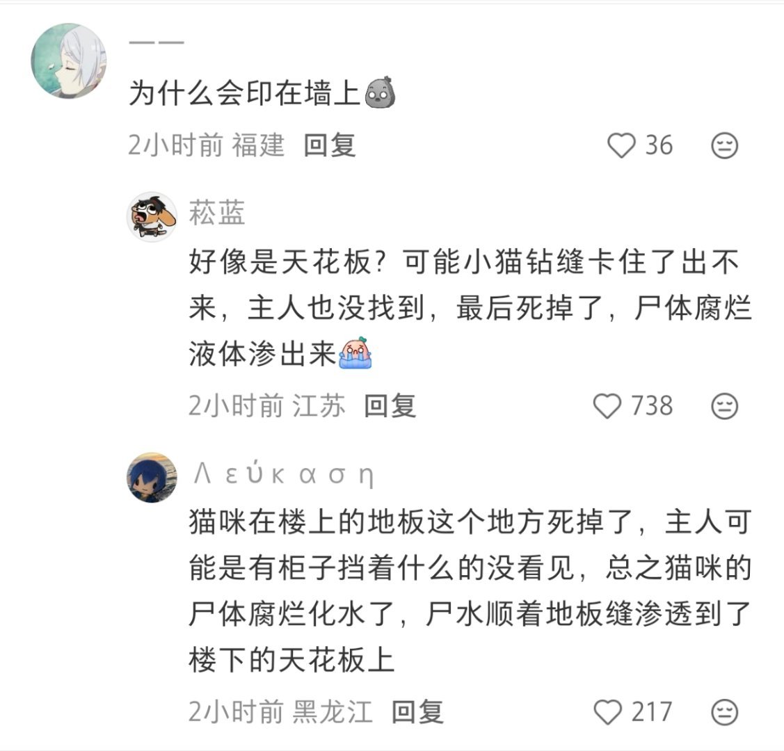 怎么会渗透力这么强。。 