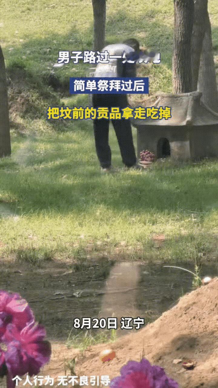 网友震惊了！辽宁一名男子途经墓地时，发现多处坟前摆放着葡萄、苹果、香蕉等新鲜供果