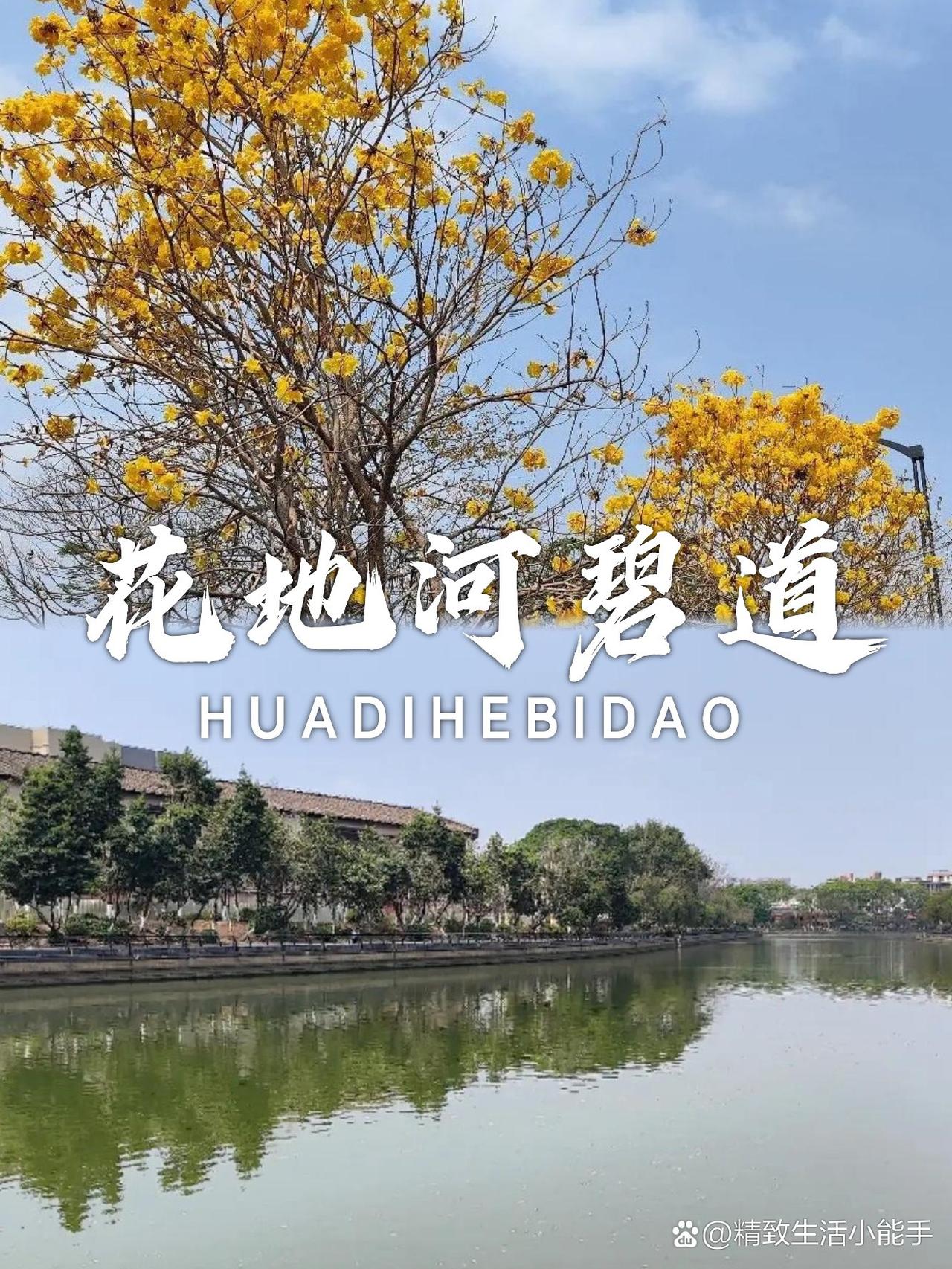 🌿花地河碧道｜城市绿肺的治愈系散步

周末发现了一处藏在城市里的天然氧！绿道蜿