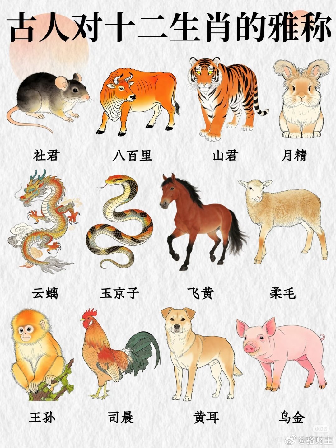 一图看懂古人对十二生肖的雅称 